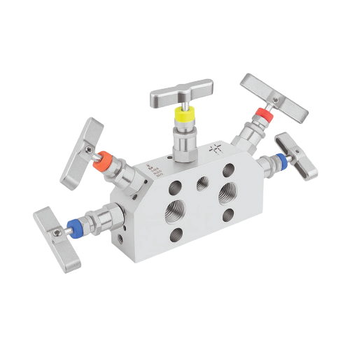5-way manifold